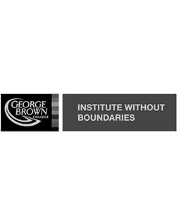 Institute Without Boundaries